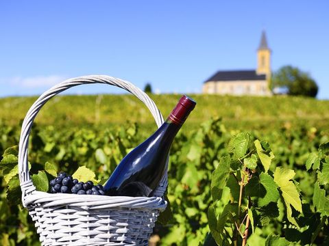 パリ 日帰り フランス 旅行の観光 オプショナルツアー予約 Veltra ベルトラ