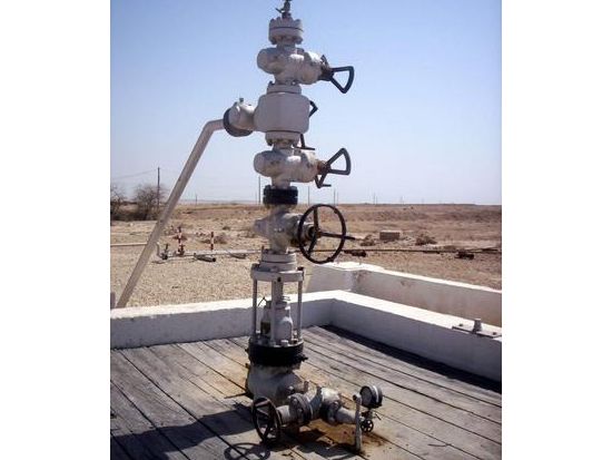 バーレーン半日プライベート観光ツアー 砂漠地帯で油田と生命の木を訪ねる ＜午前／英語＞