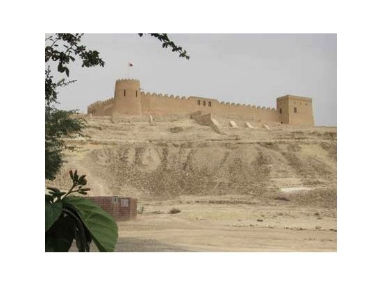 バーレーン半日プライベート観光ツアー 砂漠地帯で油田と生命の木を訪ねる ＜午前／英語＞