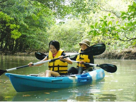 貸切マングローブカヤックツアー　1組限定！完全プライべートツアーでマングローブ林も探検！1名様や0歳からも参加OK＜島内ホテル送迎選択可＞By ニコラスツアーズ