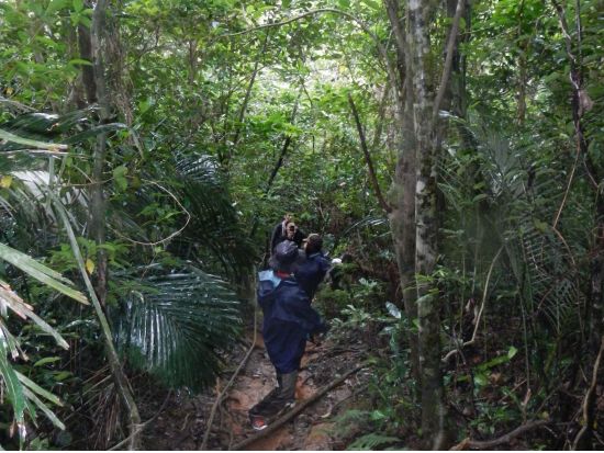 野底岳（マーペー）トレッキング 石垣島の全貌が見れる最高の景色を！1名様から貸し切り催行＜島内ホテル送迎付／石垣島＞by ニコラス ツアーズ