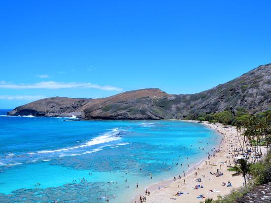 ハナウマ湾シュノーケリング　ベテラン日本語ガイドがご案内する少人数制ツアー　貸切プランあり＜半日/水中写真付き＞