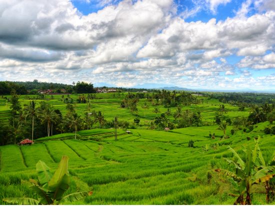 ランドローバーで行く！世界遺産ジャティルイのライステラス＋ティガルジャティ村砕石場＋バトゥカウ寺院＜1日／英語ガイド／オーガニックランチ付＞