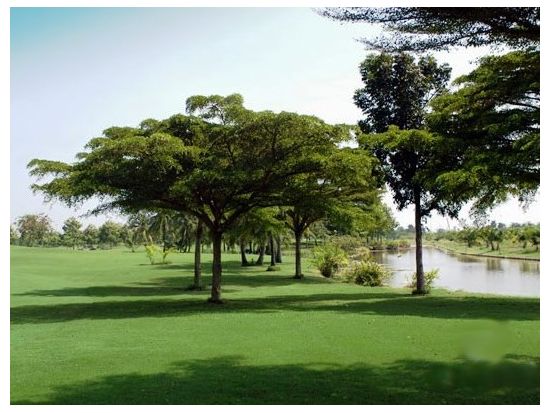 クルン・ガビー・ゴルフコース&カントリークラブエステート  送迎付きゴルフツアー＜空港送迎選択可／日本語ガイド付／カート代込＞