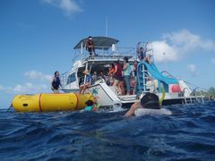 20140725081542_209936_oceanpark