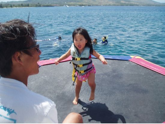 イルカウォッチング＋オーシャンパーク☆　パラセーリングやアクアウォーク付プランもあり！＜日本語or英語ガイド／送迎付き＞by スキューバカンパニー