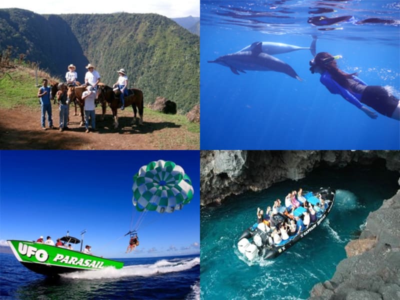 ハワイ 人気アクティビティ オアフ島 ホノルル 旅行の観光 オプショナルツアー予約 Veltra ベルトラ