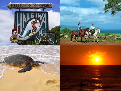 ハワイ ノースショア特集 | オアフ島 旅行の観光・オプショナルツアー予約 VELTRA