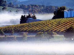 DeBortoli_014-573