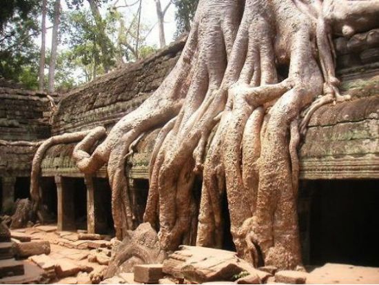 シェムリアップ空港発着3泊4日ツアー　アンコール三大遺跡＋プレアヴィヒア＋コーケー+ベンメリア＋トンレサップ湖など ＜宿泊＆食事付／日本語ガイド＞ 