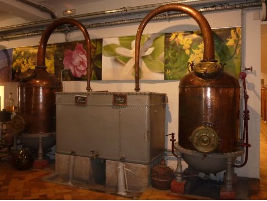 芸術家が愛した風景と美術館 日帰りツアー　カーニュ・シュル・メール＆アンティーブ＆ヴァンス＆グラース ＜日本語ドライバーガイド／ニース発＞