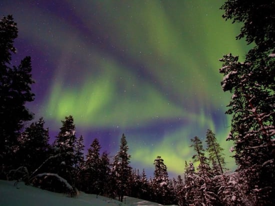 Northern Lights Snowmobile Tour from Rovaniemi
