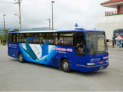 okinawa bus tour