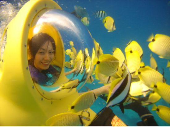 ハワイ水中スクーター　泳げなくてもOK！シーボブで海底散歩＆シュノーケリングクルーズ