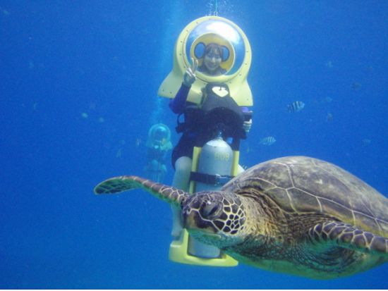 ハワイ水中スクーター　泳げなくてもOK！シーボブで海底散歩＆シュノーケリングクルーズ