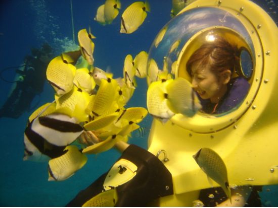 ハワイ水中スクーター　泳げなくてもOK！シーボブで海底散歩＆シュノーケリングクルーズ