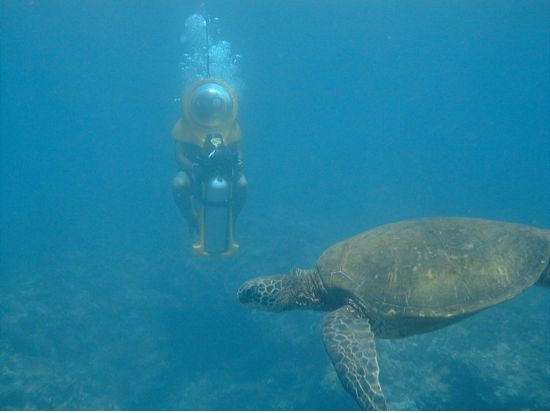 ハワイ水中スクーター　泳げなくてもOK！シーボブで海底散歩＆シュノーケリングクルーズ