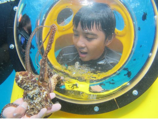 水中スクーター＆マウナルア湾パラダイスサンドバーシュノーケリングクルーズ　SUPなどのアクティビティも満喫！＜英語クルー＞