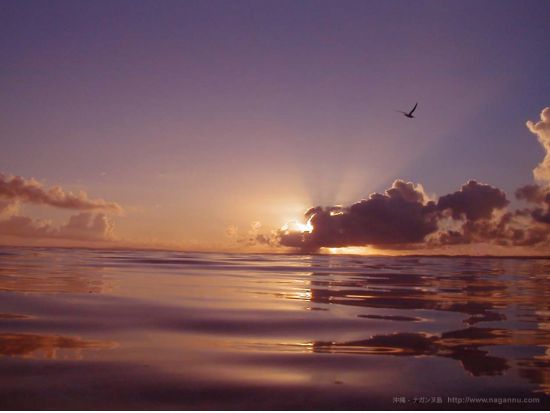 20120729110340_56871167_2291_9