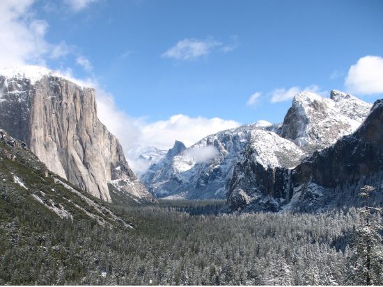 世界遺産ヨセミテ国立公園 日帰り観光ツアー　午前園内ガイド付き＆午後はたっぷりの自由散策確保 ＜英語ガイド＞