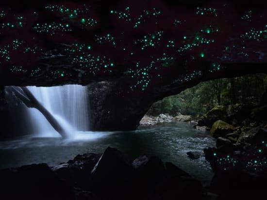springbook national park cave full of glow worms