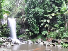 Tamborine Waterfall
