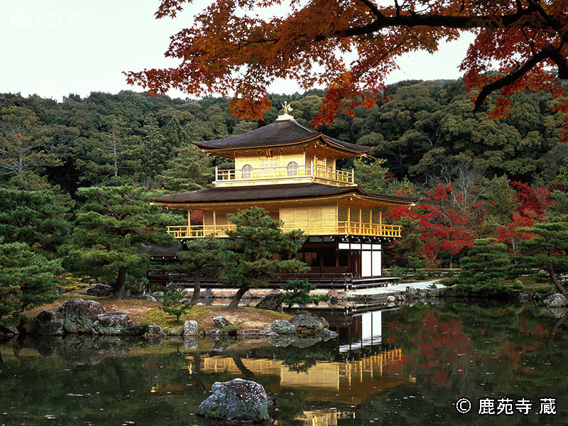 Golden Kinkakuji Temple in Autumn