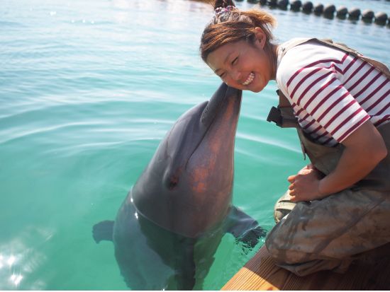 イルカと遊ぼう！イルカふれあい体験＆ドルフィンスイム体験 ＜0歳から参加OK／1時間半～／石垣島＞by ドルフィンファンタジー