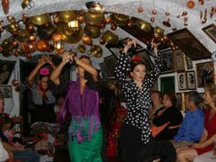 Flamenco2