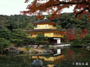 Kinkakuji Temple in the autumn