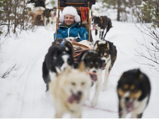 雪原を犬ぞりで駆け抜ける！ハスキーサファリツアー 昼食＆温かい飲み物付き＜12～3月／トロムソ発＞
