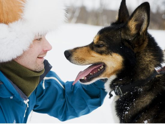 雪原を犬ぞりで駆け抜ける！ハスキーサファリツアー 昼食＆温かい飲み物付き＜12～3月／トロムソ発＞