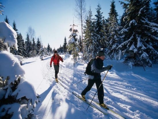Guided Cross-Country Ski Trip in Tromso