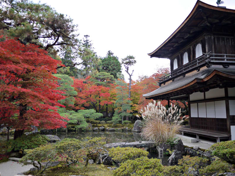 貸切観光タクシー 金閣寺 清水寺 嵐山 嵯峨野 蓮華寺 曼殊院の3ルートから選ぶ京都周遊コース 4時間 1 4名 京都市内送迎可 By ヤサカ観光 京都の観光 遊び 体験 レジャー専門予約サイト Veltra ベルトラ