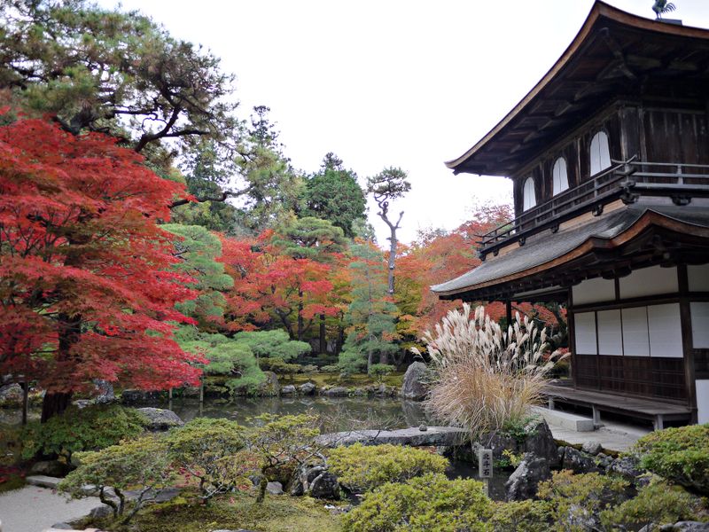 貸切観光タクシー 金閣寺 清水寺 嵐山 嵯峨野 蓮華寺 曼殊院の3ルートから選ぶ京都周遊コース 4時間 1 4名 京都市内送迎可 By ヤサカ観光 京都の観光 遊び 体験 レジャー専門予約サイト Veltra ベルトラ 貸切観光タクシー 金閣寺 清水寺 嵐山 嵯峨野 蓮華寺 曼殊院の3ルートから選ぶ京都周遊コース 4時間 1 4名 京都市内送迎可 By ヤサカ観光 京都の観光 遊び 体験 レジャー専門予約サイト Veltra ベルトラ