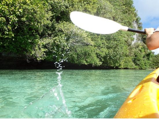 マングローブカヤックツアー　豊かな森とロックアイランドを半日でめぐる　選べる2つの時間帯＜送迎付き＞by パラオ・パシフイックダイバーズ