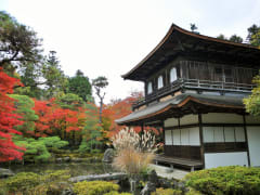 Ginkakuji temple in the autumn