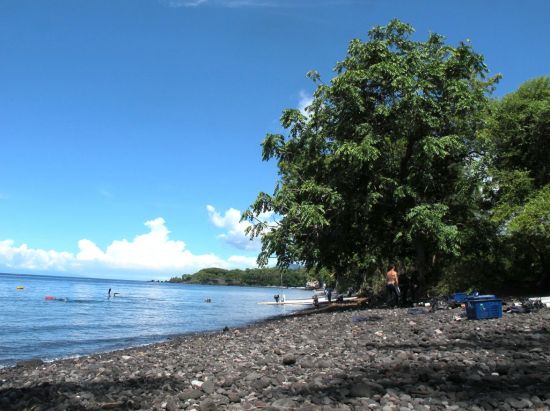 体験ダイビング 沈船と魚の宝庫トランベンまたは手軽に楽しめるサヌールへ プール講習付きで安心＜ビーチ or ボート／1～2ダイブ＞by ブルーシーズン・バリ