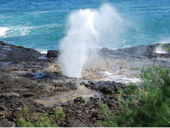 カウアイ島日帰りツアー　カウアイ島の大自然を満喫！ワイメア渓谷や絶景ビュースポットを巡る by H.I.S. ＜オアフ島発着/日本語ガイド＞