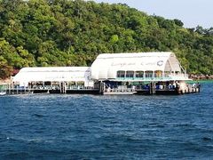 Tr00100420110201171419650