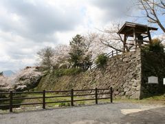 暘谷城趾