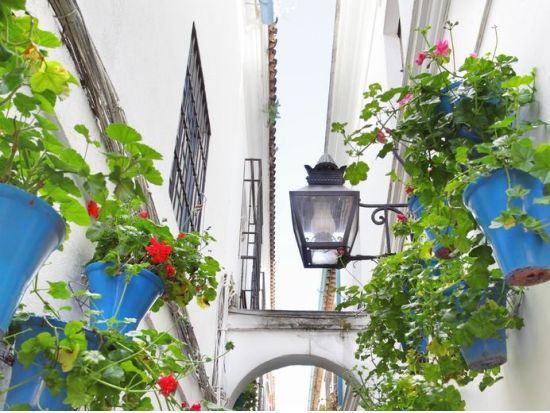 コルドバ＆モンテフリオ　1日観光ツアー ＜貸切／日本語ガイド／食事付き／セビリア発グラナダ着＞