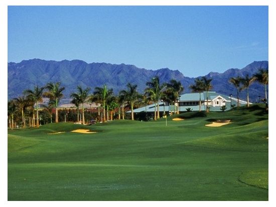 ワイケレ・カントリークラブ　ゴルフ場予約＜初級者＞