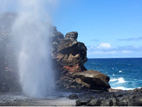 マウイ島観光　西マウイの見どころとイアオ渓谷をめぐるプライベートツアー＜貸切／英語ガイド＞