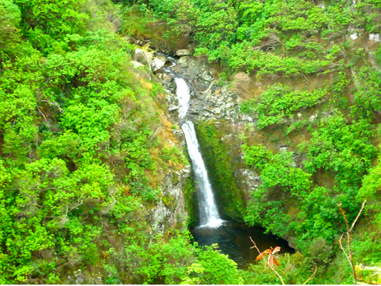 マウイ島観光　西マウイの見どころとイアオ渓谷をめぐるプライベートツアー＜貸切／英語ガイド＞