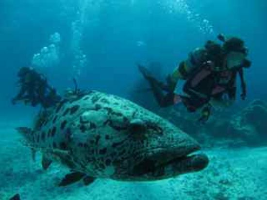 20140502020747_193824485_318_0