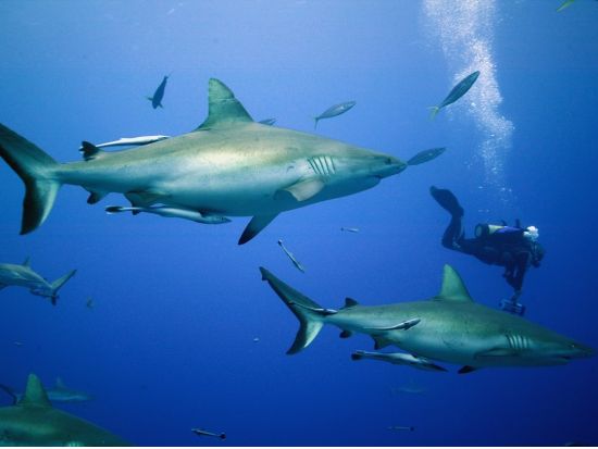 20140520000127_2085032306_318_9