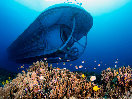 ハワイ島 アトランティス潜水艦 ハワイの海底アドベンチャー 1日4便 日本語オーディオガイド 送迎可 ハワイ ハワイ島 の観光 オプショナルツアー専門 Veltra ベルトラ