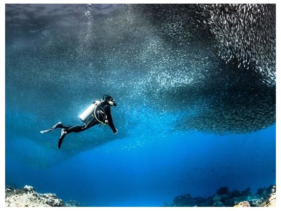 PADIライセンス取得コース　オープンウォーターまたはスクーバダイバー ＜2～3日＞ by スコッティーズ