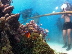 Cebu Mactan Helmet Diving